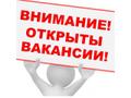 Менеджер-куратор.